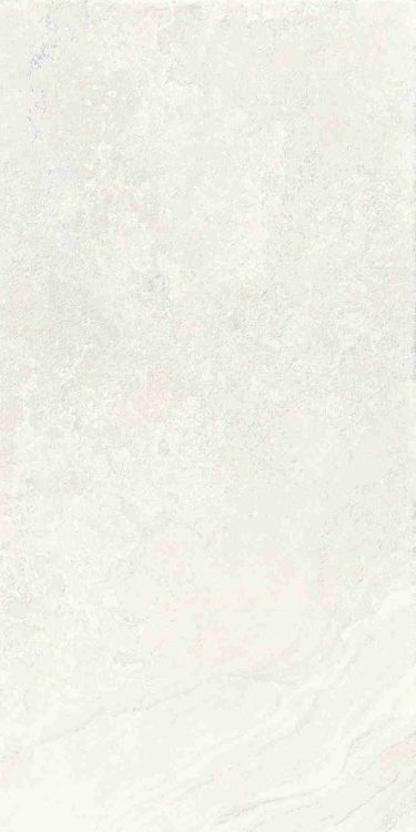 Petra Viva Bone Matte 24 x 48